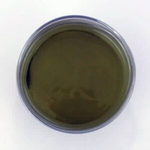 Nickel Oxide – YSZ (66/34 wt%) – Paste