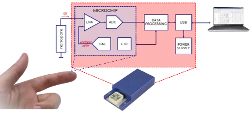 Elements' technology is based on custom ASICs (CMOS silicon microchip) that allows ultra-low noise current measurements starting from very low ranges.